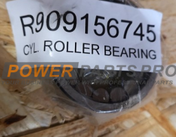 R909156745 CYL. ROLLER BEAR. RNU41,31X67X27